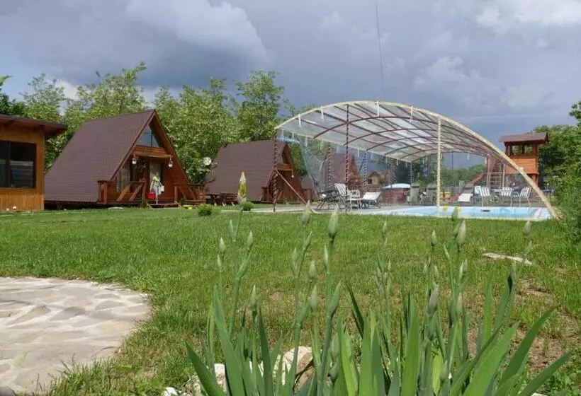 Casute In Copac & Case A Frame