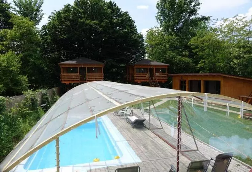 Casute In Copac & Case A Frame