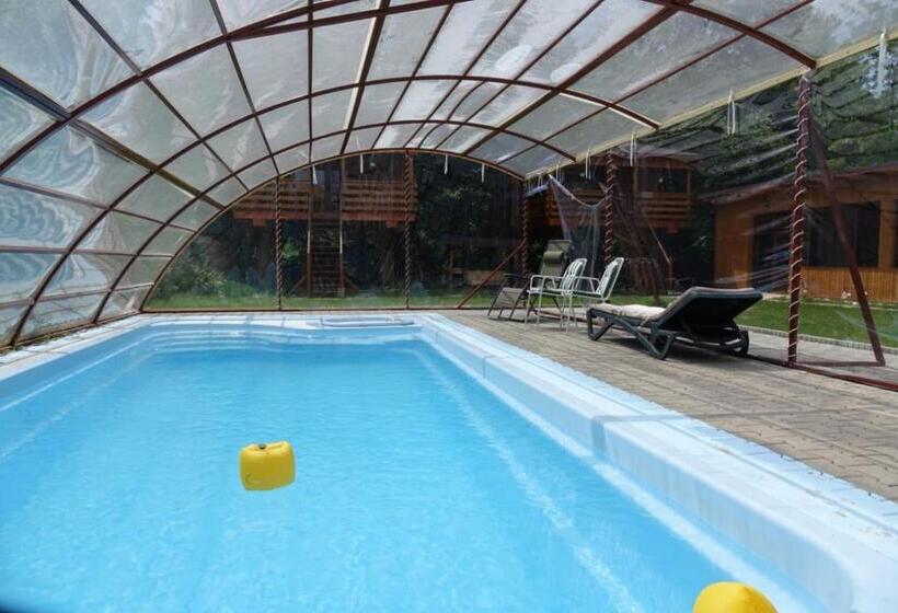 Casute In Copac & Case A Frame