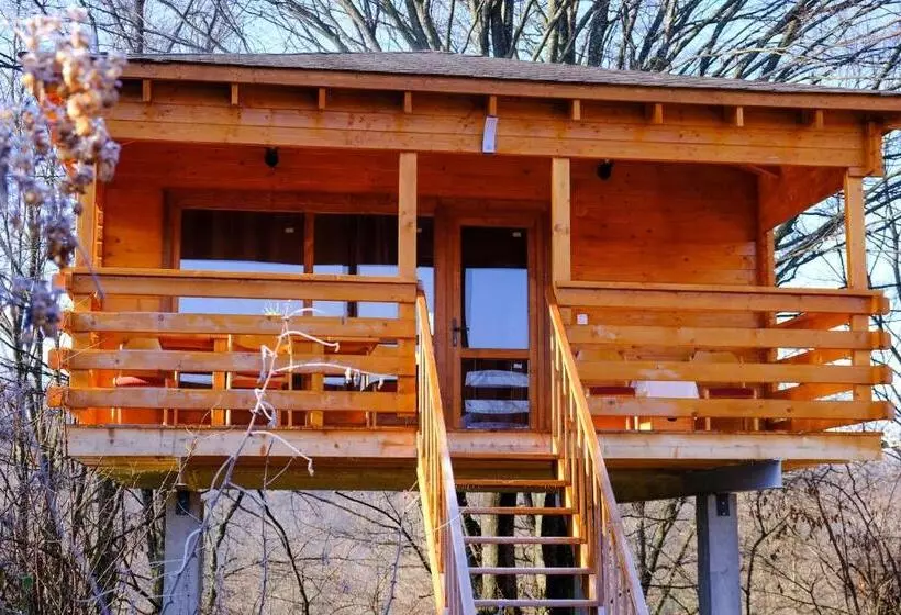 Casute In Copac & Case A Frame