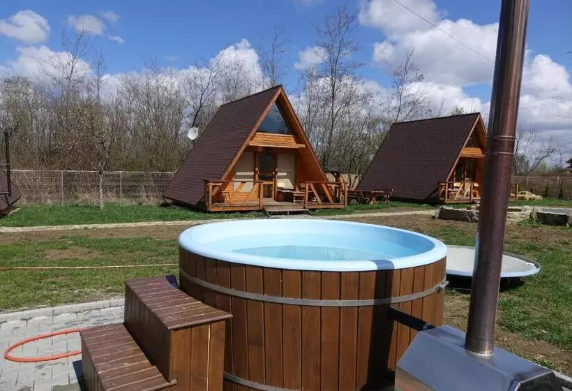 Casute In Copac & Case A Frame