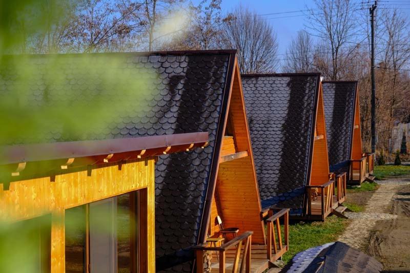 Casute In Copac & Case A Frame