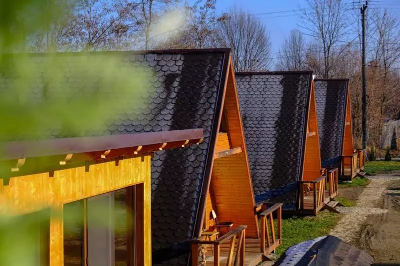 Casute In Copac & Case A Frame