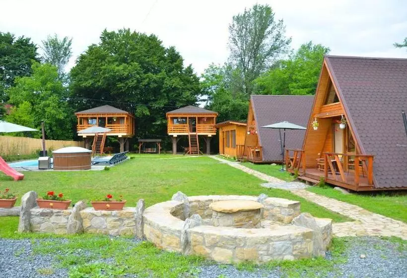 Casute In Copac & Case A Frame