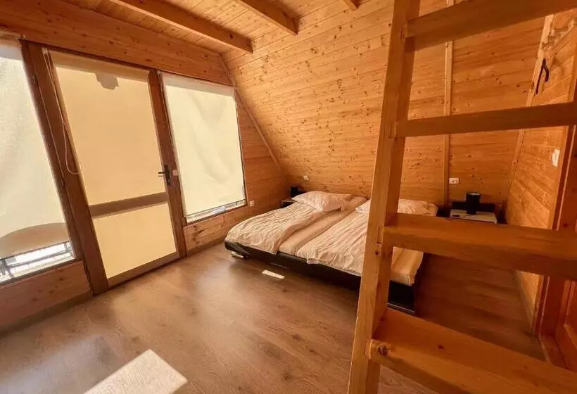 Casute In Copac & Case A Frame