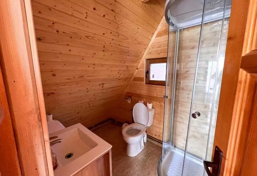 Casute In Copac & Case A Frame