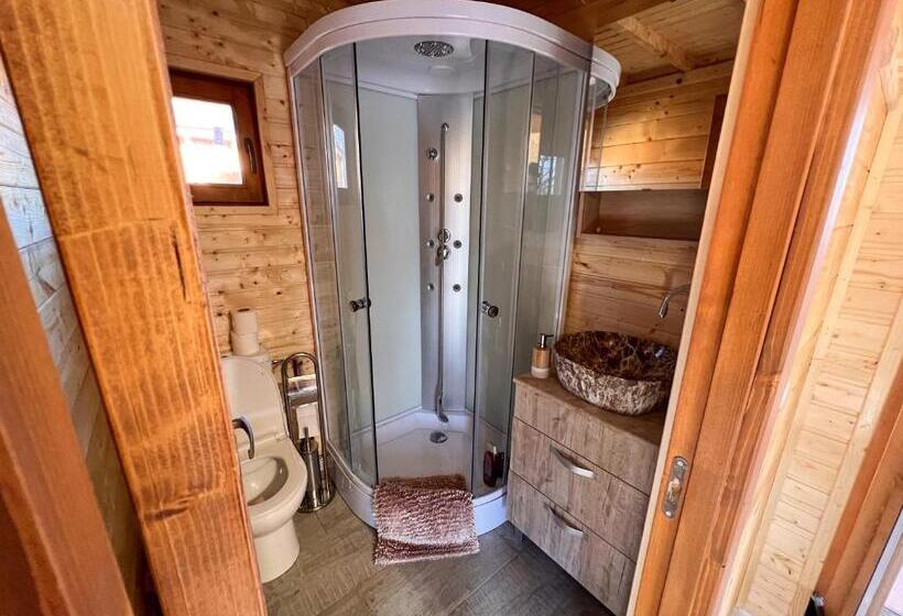 Casute In Copac & Case A Frame