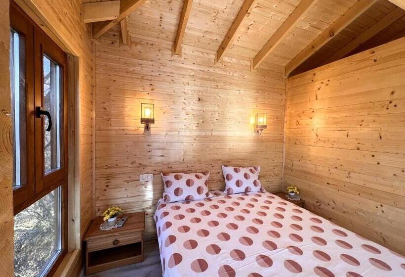 Casute In Copac & Case A Frame