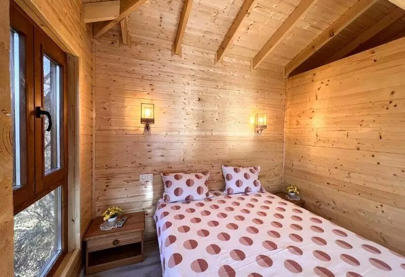 Casute In Copac & Case A Frame