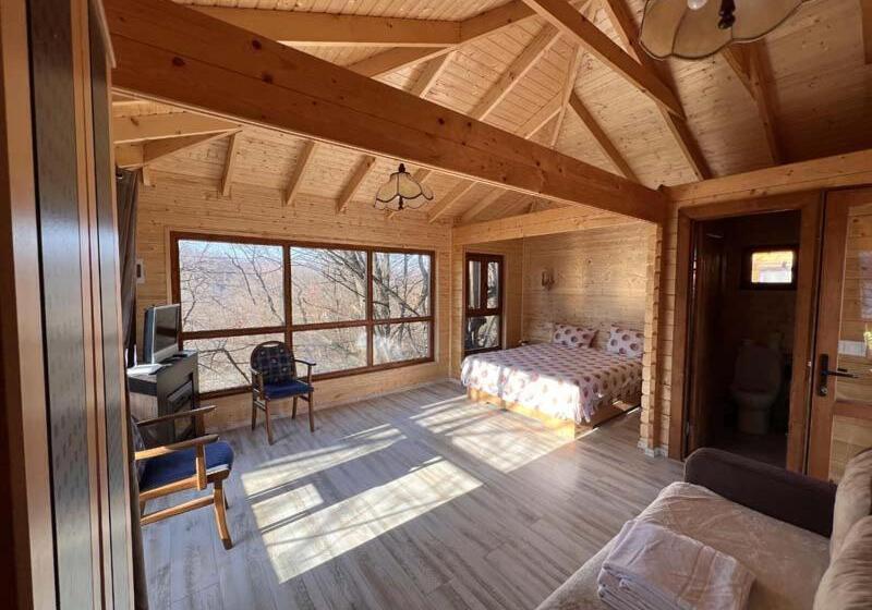 Casute In Copac & Case A Frame