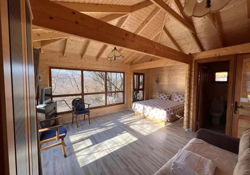 Casute In Copac & Case A Frame