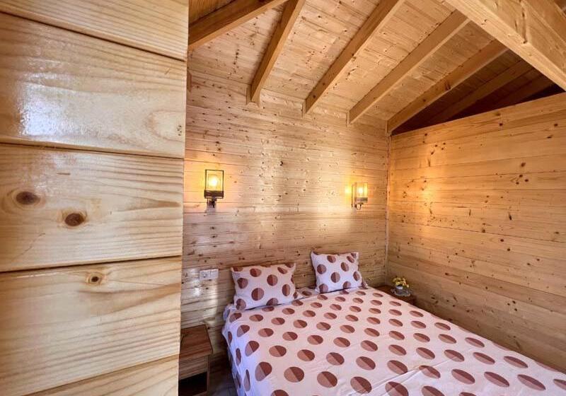 Casute In Copac & Case A Frame