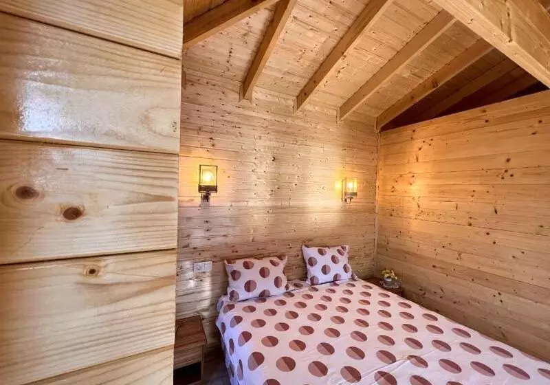 Casute In Copac & Case A Frame