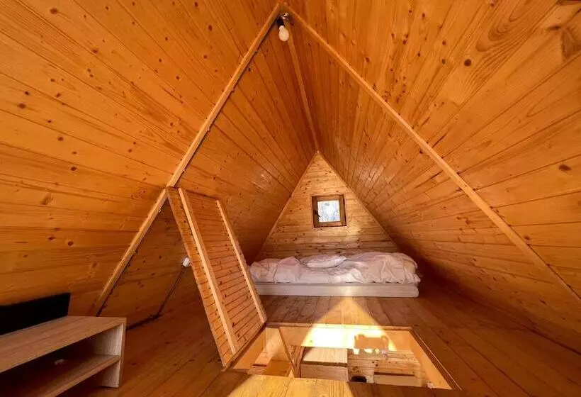 Casute In Copac & Case A Frame