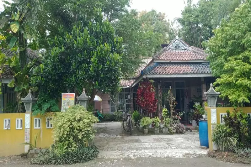 ホテル Oyo 91012 Mambo Guest House Pangandaran