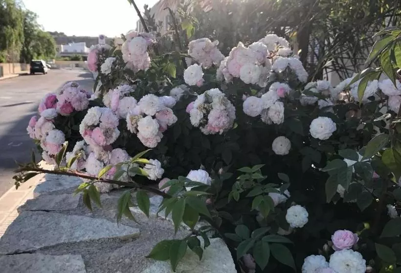 Majatalo Casa Catalano