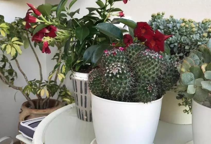 Majatalo Casa Catalano