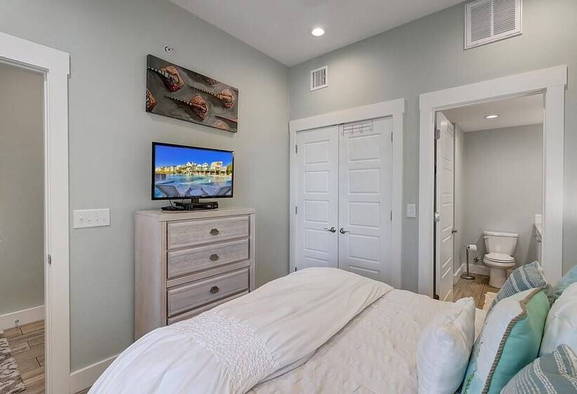 Shells On The Beach Tc 2104