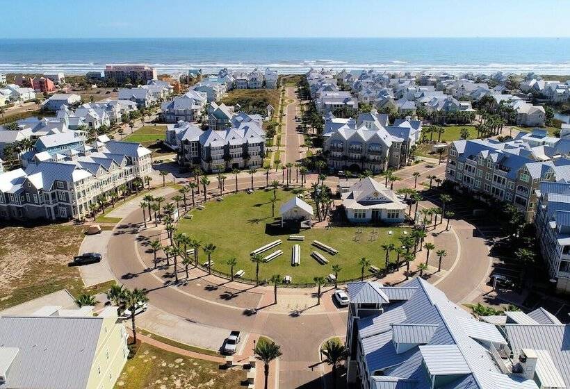 Shells On The Beach Tc 2104