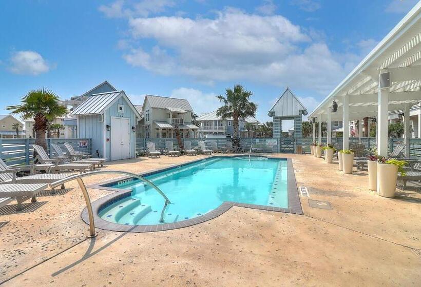 Shells On The Beach Tc 2104