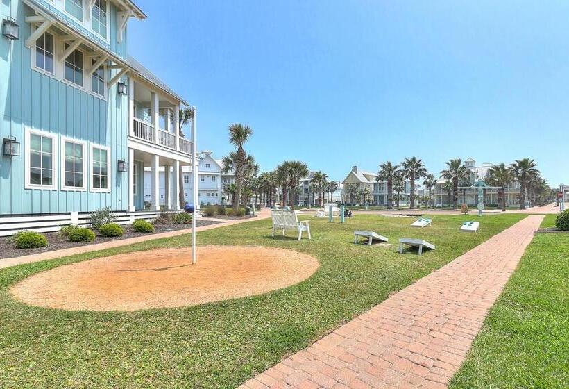 Shells On The Beach Tc 2104