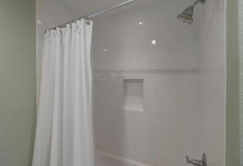 Shells On The Beach Tc 2104