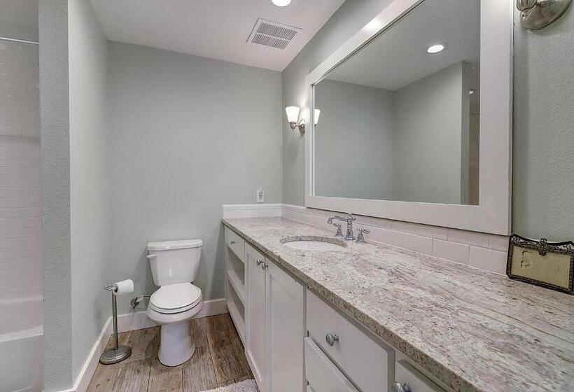 Shells On The Beach Tc 2104