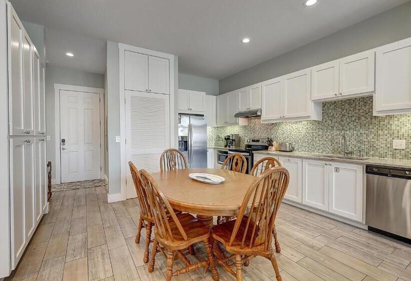 Shells On The Beach Tc 2104