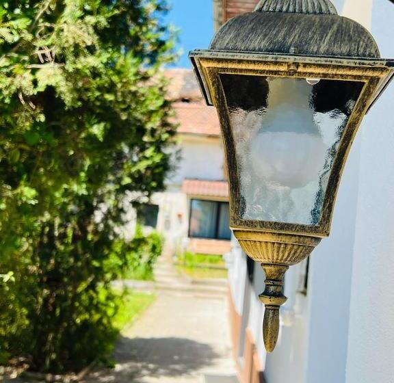 Apartament In Regim Hotelier Queen Medias