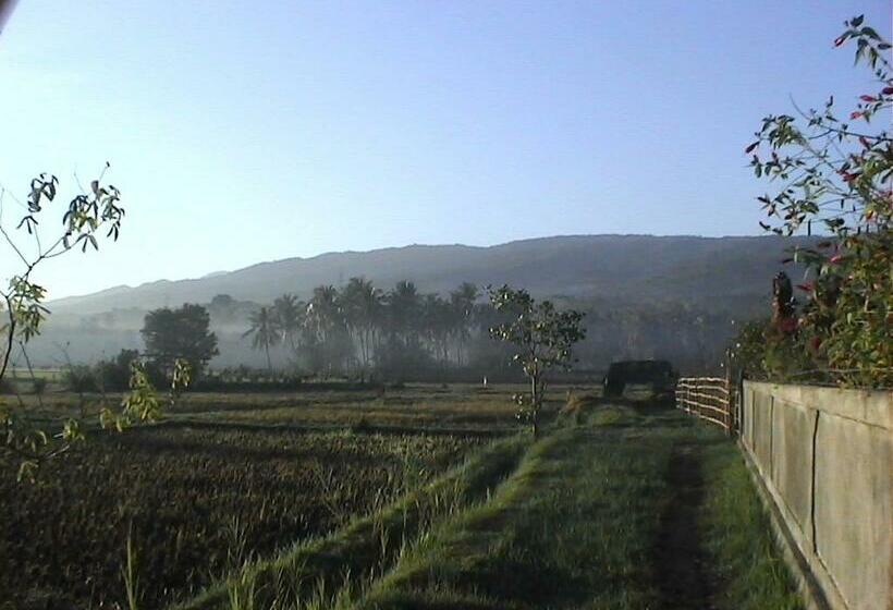 Bed and Breakfast Singko Lovina