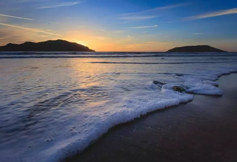 ホテル Courtyard By Marriott Mazatlan Beach Resort
