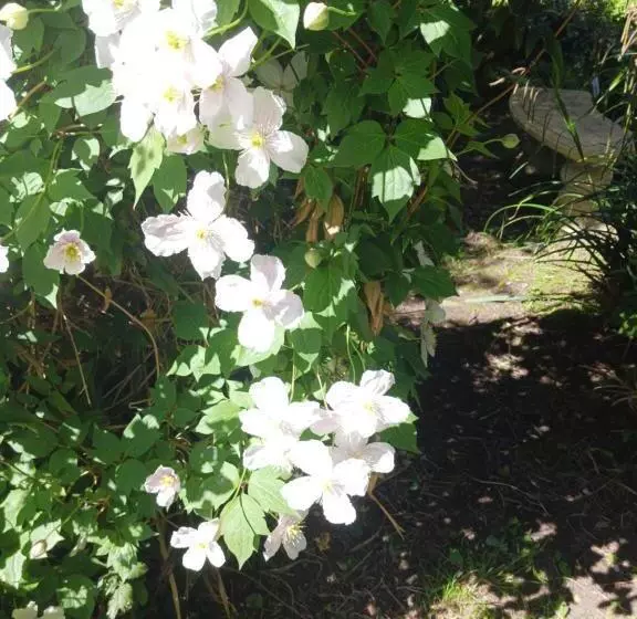 Le Presbytère, Cotentin, Val De Saire, Fermanville, Proximité Immédiate Mer Et Forêt