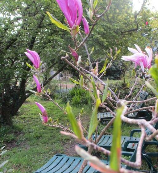 Le Presbytère, Cotentin, Val De Saire, Fermanville, Proximité Immédiate Mer Et Forêt