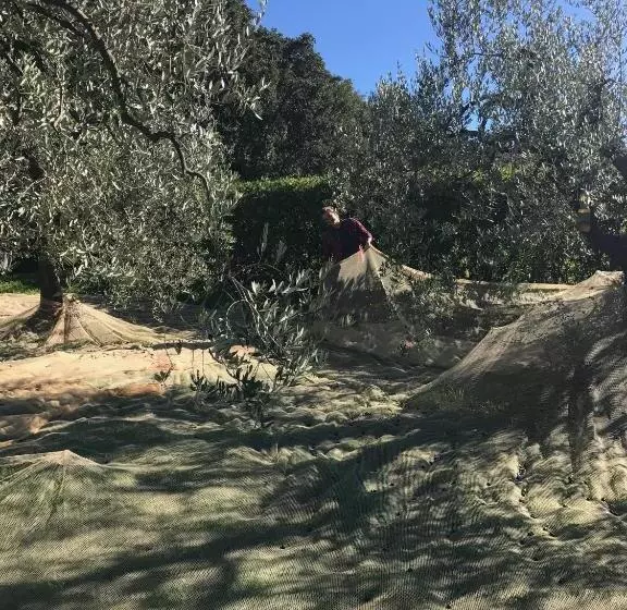 Podere Belvedere Livorno