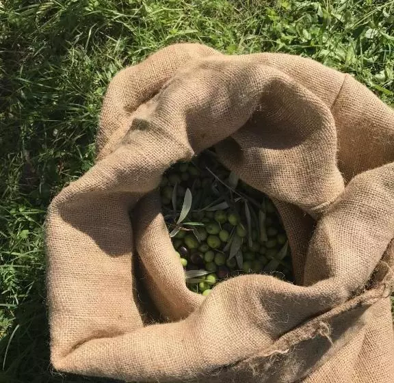 Podere Belvedere Livorno