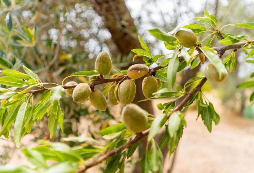 Villetta Alessia Salento