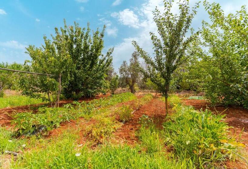 Villetta Alessia Salento