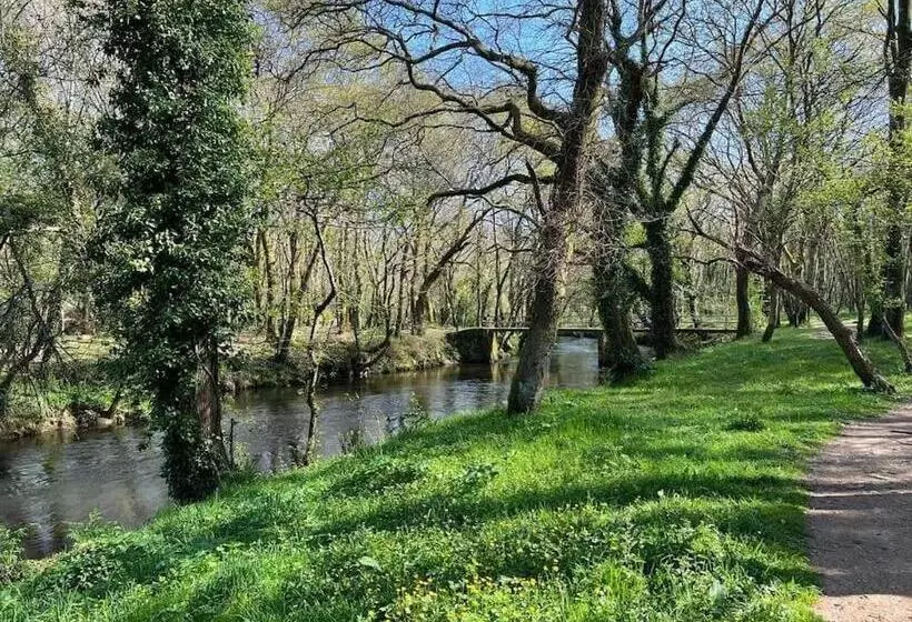 Preciosa Casa Con Piscina Y Bosque Privados En Sigüeiro, Santiago De Compostela