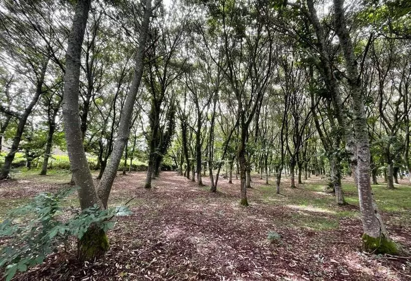 Preciosa Casa Con Piscina Y Bosque Privados En Sigüeiro, Santiago De Compostela