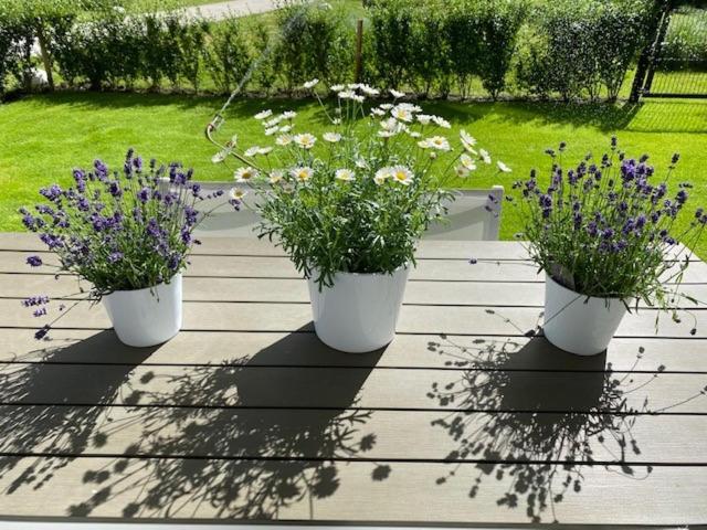 Luxury Apartment Volmolen With Garden, Terrace And Free Parking