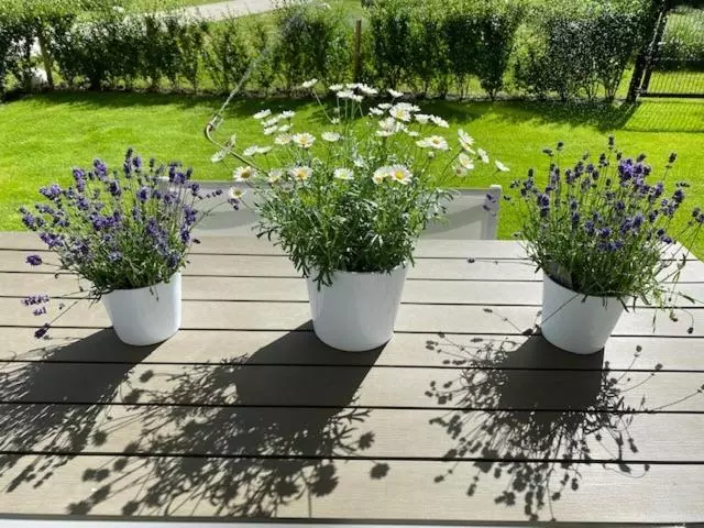Luxury Apartment Volmolen With Garden, Terrace And Free Parking