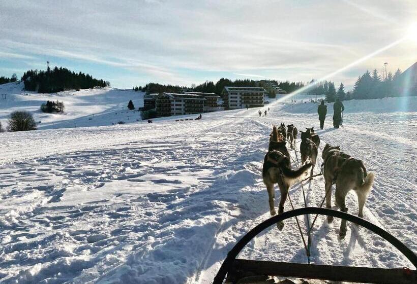 Panorama Apartmán 44 C