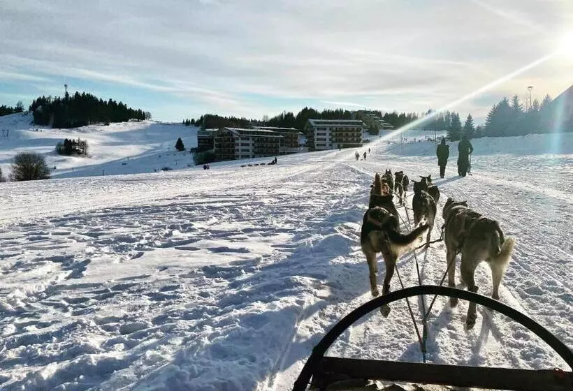 Panorama Apartmán 44 C