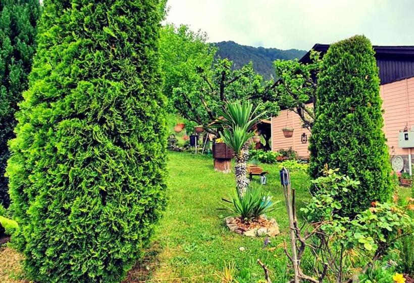 Romantic Cottage In Real Nature   Happy Rentals