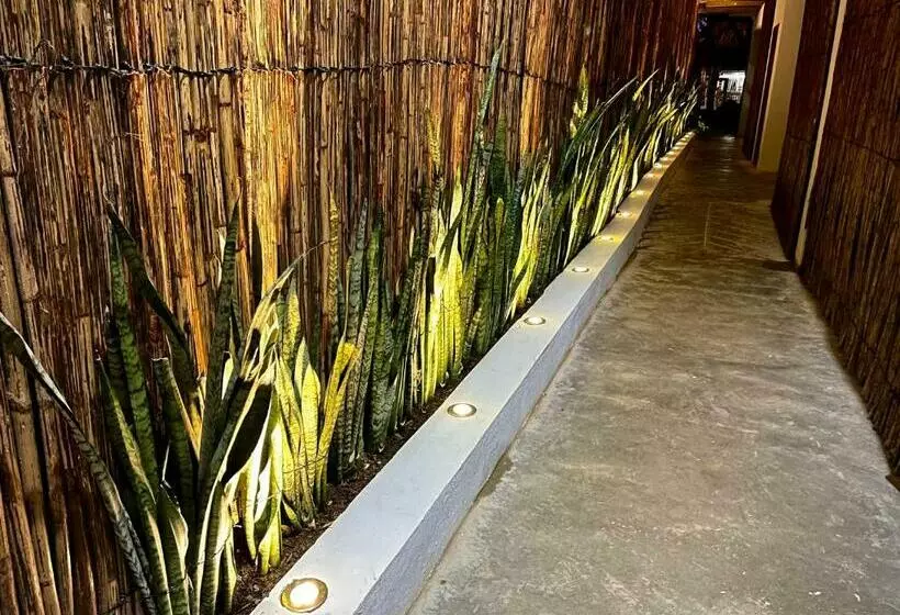 ユースホステル Hostal Casa En La Ciénaga