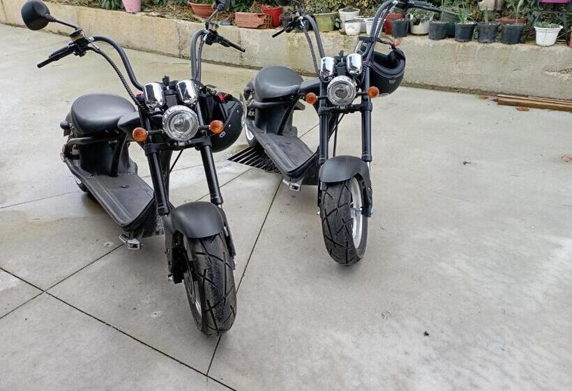 Apartamentos Herri Ondo Refugio Climatico