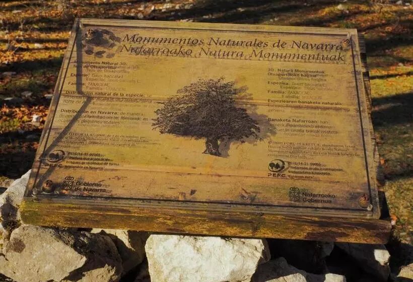 Apartamentos Herri Ondo Refugio Climatico