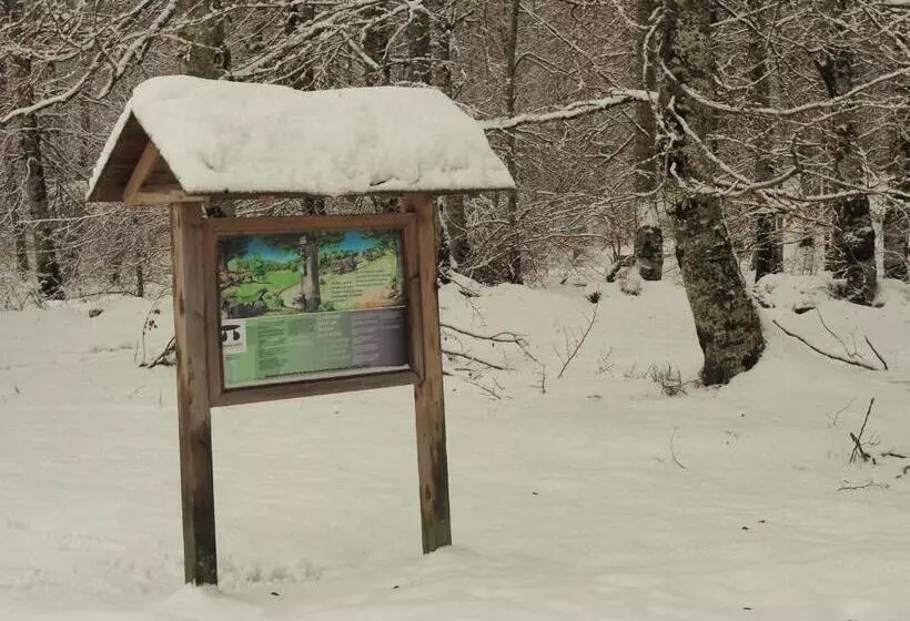 Apartamentos Herri Ondo Refugio Climatico
