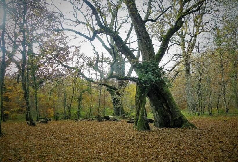 Apartamentos Herri Ondo Refugio Climatico