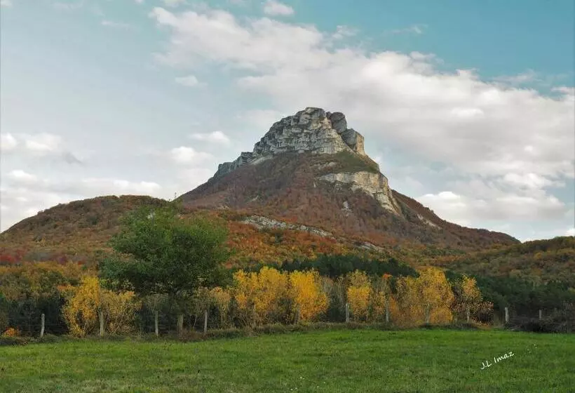 Apartamentos Herri Ondo Refugio Climatico